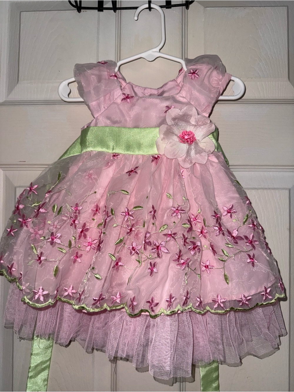 Jona Michelle Pink Embroidered Organza Dress with Green Sash